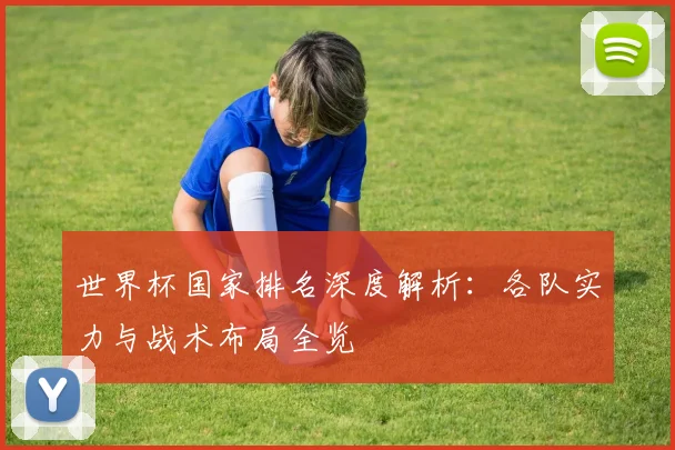 世界杯国家排名深度解析：各队实力与战术布局全览