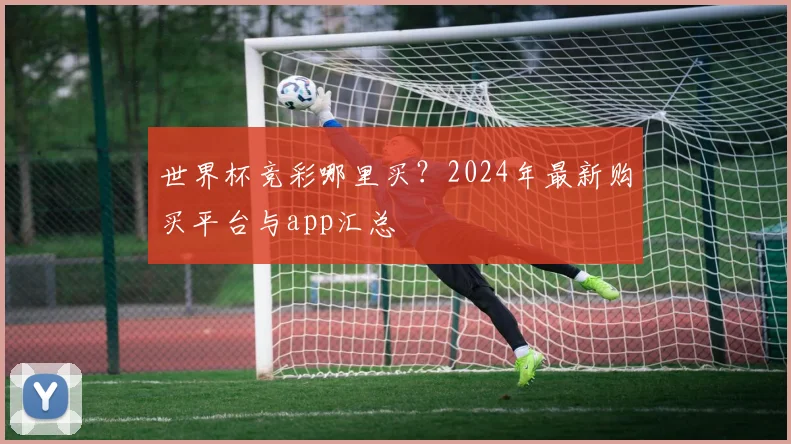 世界杯竞彩哪里买？2024年最新购买平台与app汇总